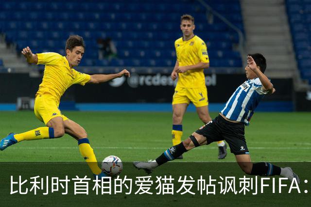 比利时首相的爱猫发帖讽刺FIFA：“红牌？”我照样继续踢！