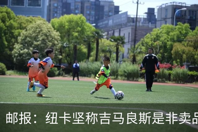邮报：纽卡坚称吉马良斯是非卖品 阿森纳准备进行第二次报价